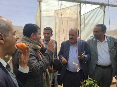 ����� ��� - 
                             