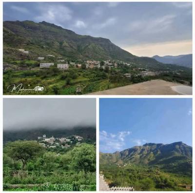 ����� ��� - 

  :      " "

        ɡ      "   "      ɡ      